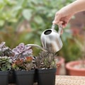 Miniatyrbillede 3 af 4: Hot 2025 Mini Vandkande med Lang Tud til Stueplanter og Have
