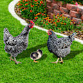 Miniatyrbillede 5 af 5: ##/3D Akryl Tetra Lyre til Terrassegulv##/