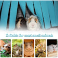 Miniatyrbild 4 av 5: Hamstertält & Hängmatta för Smådjur (Blå), Tillbehör till Bur