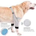 Miniatyrbilde 1 av 5: Hundeoperasjonsermhull for forben, beskyttelse for hundens forben