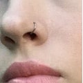 Miniatyrbild 3 av 4: Näsringar 8mm Sömlös Hängd Läppklicker Tragus Helix Daith Ri