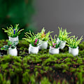 Miniatyrbild 3 av 5: 14 st Miniatyrväxter Bonsai 1:12 Mini Krukväxter