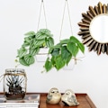 Miniatyrbillede 3 af 6: ##/Briful Sæt af 2 Små Kunstige Planter i Keramikpotte Falske Planter##/