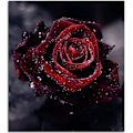 Miniatyrbillede 2 af 5: DIY 5D Diamantmaleri Krydssting Broderi Diamantmaleri