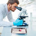 Miniatyrbillede 5 af 5: 4 stk. Instrumentbakke, Rustfrit Stål Rektangulære Bakker, Lab