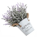 Miniatyrbild 3 av 6: ##/Konstgjorda blommor konstgjorda växter vardagsrumsbord dekoration##/