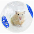 Miniatyrbild 1 av 5: Tuxedo Hamster Träningsboll, Liten Djur Hamster Leksak 6'' Löpning