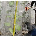 Miniatyrbillede 3 af 5: Have Net til Insekter i Haven: 3 x 10 m Fint Masket Beskyttelse til Porrer