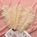 Pikkukuva 5 / 5: ##/24 kpl 25-30 cm (10-12 tuumaa) luonnollisia valkoisia strutsin sulkia ##/
