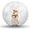 Miniatyrbilde 2 av 5: Gnagere, hamsterløpeball, plast gnager sport, 18 cm, gjennomsiktig