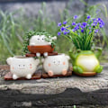 Miniatyrbild 3 av 5: Gungande Planteringskruka med Leende Ansikte, Resinfigur, Väderbeständig, Inomhus Utomhus, Grönsaker, Örter, Suckulenter, Blomkruka, Hem, Balkong, Trädgårdsdekoration C