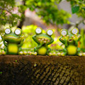 Miniatyrbilde 3 av 4: ##/1 stk utendørs hage solbelyst frosk ornament, hage##/