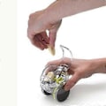 Miniatyrbilde 1 av 4: Hvitløkshakker (Svart)