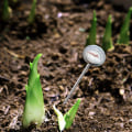 Miniatyrbillede 5 af 5: Jordtermometer i rustfrit stål, Smart jordtermometer til mælk