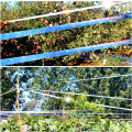 Miniatyrbillede 5 af 5: 50M Due-Sided Fugleskræmmende Bånd - Pigeon Repellent Tape