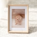Miniatyrbild 2 av 5: Takfönsterram - 10 tum Wifi Digital Bildram, E-postfoto