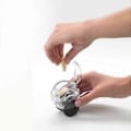 Miniatyrbilde 2 av 4: Hvitløkshakker (Svart)