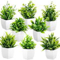 Miniatyrbillede 5 af 5: ##/2 stk. Mini Kunstige Planter Indendørs i Potter Små Kunstige Planter Indendørs##/