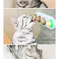 Miniatyrbild 2 av 6: ##/Kattmynta Boll 1 Stycke 4 Bollar i 1 Stycke Kattmynta Leksak Kattmynta Boll Leksak Kattmynta Boll Leksak Bas Mynta/Godisboll för Katt##/