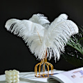 Miniatyrbillede 2 af 5: ##/5 stk Naturlige 35-40 cm Strudsefjer Bryllupsfjer Bordpynt Hjemmedekoration##/