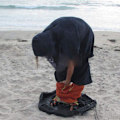 Miniatyrbild 2 av 5: ##/Vattentät väska för badkläder, strandväska för badkläder, dykdräkt, su##/