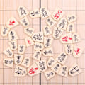 Pikkukuva 1 / 5: Shogi Magneettinen Matkakokoinen Japanilainen Shakkilauta 24cm, Kannettava Taittuva E