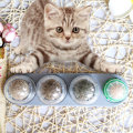 Miniatyrbild 4 av 6: ##/Kattmynta Boll 1 Stycke 4 Bollar i 1 Stycke Kattmynta Leksak Kattmynta Boll Leksak Kattmynta Boll Leksak Bas Mynta/Godisboll för Katt##/