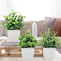 Miniatyrbillede 2 af 5: ##/2 stk. Mini Kunstige Planter Indendørs i Potter Små Kunstige Planter Indendørs##/