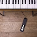 Miniatyrbilde 5 av 5: ##/SP-2 - Universell sustainpedal med pianolignende handling  det ideelle tilbehøret for MIDI-tastaturer  digitale pianoer  elektroniske keyboard og mer##/