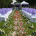 Miniatyrbilde 4 av 5: 100 stk. Fake Blomster Romantiske Fargerike Stoff Kunstige Roseblomstblader til Bryllup 2