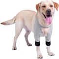 Miniatyrbilde 2 av 5: Hundeoperasjonsermhull for forben, beskyttelse for hundens forben