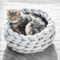 Miniatyrbilde 1 av 4: Håndlaget kurv for kjæledyrhund katt tykk bomullsreip flettet myk C