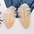 Miniatyrbillede 4 af 5: ##/24 stk. 25-30 cm (10-12 tommer) naturlige hvide strudsefjer til##/