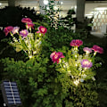 Miniatyrbild 2 av 5: ##/Solcellsdriven lila snölotuslykta utomhus simulerad lykta##/