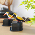 Miniatyrbillede 3 af 5: Tandstikbeholder Rent Push-on Design Stor Kapacitet 3D Fugleform Tandstikdispenser Husholdningsartikler D