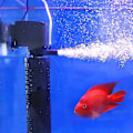 Miniatyrbilde 1 av 4: ##/in 1 Stille Lufting Vannrenser Intern Pumpe Neddykbar Aqua##/