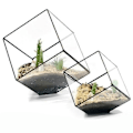 Miniatyrbild 2 av 5: Geometriska Kuber Glas Terrarium Heminredning Växt Suckulent Blomhållare Vas Kruka Qinhai