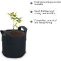 Miniatyrbilde 5 av 5: Pakke med 10 ikke-vevde planteposer 26 liter - 7 gallon - 35 x
