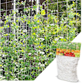 Miniatyrbilde 1 av 5: (1.67m x 5m) Netting for Climbing Plants, Large Mesh Support Nett