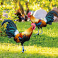 Miniatyrbillede 4 af 6: ##/2 Haner Dekorative Akryl Dyr Have Ornament##/