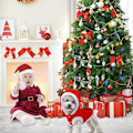 Miniatyrbild 3 av 5: ##/Julhundjacka - Julgranmönster - S, Juldjurskläder##/