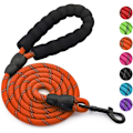 Miniatyrbilde 2 av 5: Orange nylon hundeleie med polstret håndtak for daglige turer og trening
