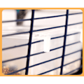 Miniatyrbild 3 av 5: Kampanj Spill-Proof Transparent Fågelmatlåda