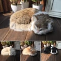 Miniatyrbillede 3 af 3: Realsitisk Kat Sove, Blød Kat Legetøj, Falsk Plys Legetøj, Falsk