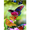 Miniatyrbild 1 av 5: ##/30x40cm Vuxna Barn 5D DIY Diamantkonstmålning Kit - Fjäril##/