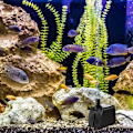 Miniatyrbilde 5 av 5: Neddykbar pumpe, akvariumpumpe 1500L/H Multifunksjonelt akvarium Fi