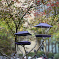 Miniatyrbild 1 av 5: Lila - Fågelmatare Utomhus Fågelmatare Kolibri Vattenmatare
