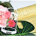 Miniatyrbild 5 av 5: 30 st Transparenta Torkade Blombokstäcken, Blombokstäcketillverkare