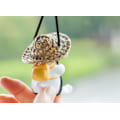 Miniatyrbild 4 av 5: /#/Duck Charm 1 Piece Duck Charm on Car Rearview Mirror for Car Decoration/#/
