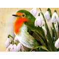 Miniatyrbild 1 av 5: ##/30x40cm DIY Diamantmålning Kit för Vuxna och Barn - Vit Blomma##/